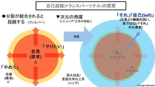 変性意識状態 Altered States Of Consciousness とは何か